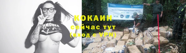 дмт Белоозёрский
