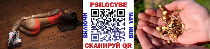 Псилоцибиновые грибы MAGIC MUSHROOMS blacksprut зеркало Гусев